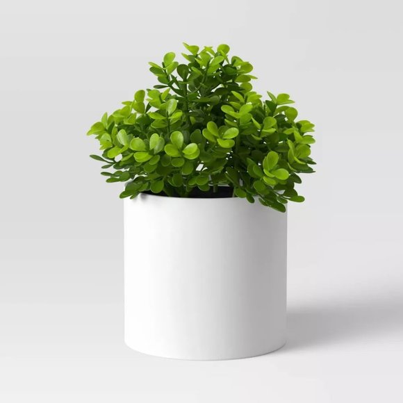 Threshold Accents Threshold Potted Faux Plant Boxwood 5 Poshmark